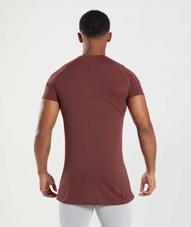 Gymshark 315 Sømløs T-skjorte Kirsebærbrun