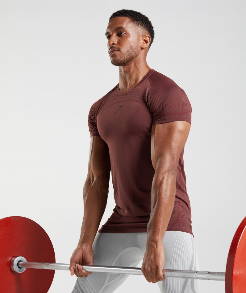 Gymshark 315 Sømløs T-skjorte Kirsebærbrun