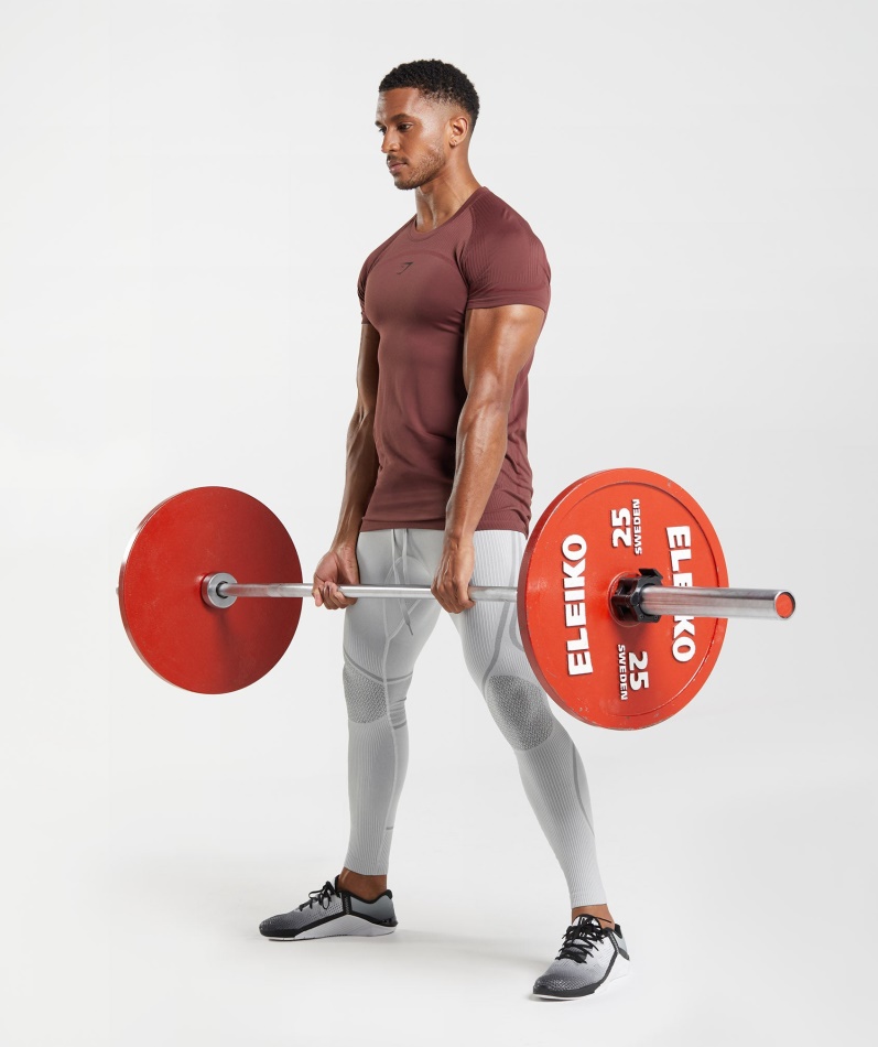 Gymshark 315 Sømløs T-skjorte Kirsebærbrun