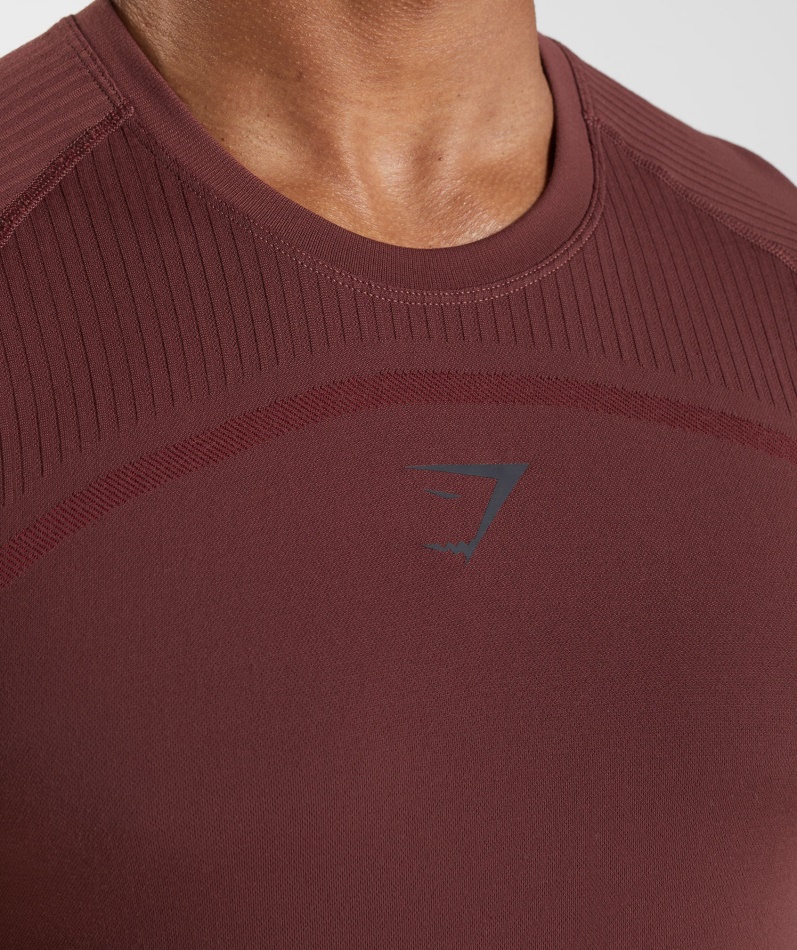 Gymshark 315 Sømløs T-skjorte Kirsebærbrun