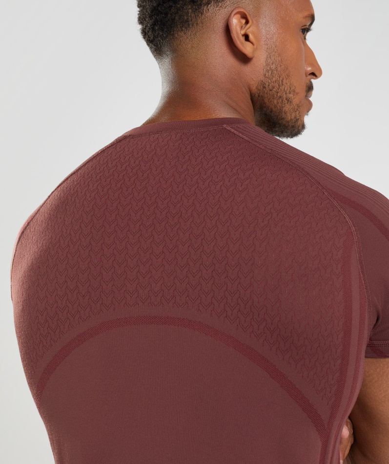 Gymshark 315 Sømløs T-skjorte Kirsebærbrun