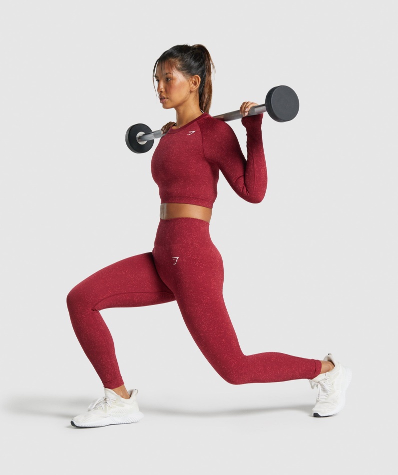 Gymshark Adapt Fleck Sømløs Langermet Crop Top Mineral-burgunder