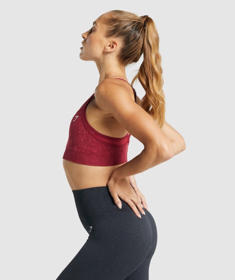 Gymshark Adapt Fleck Sømløs Sports-bh Mineral-burgunder