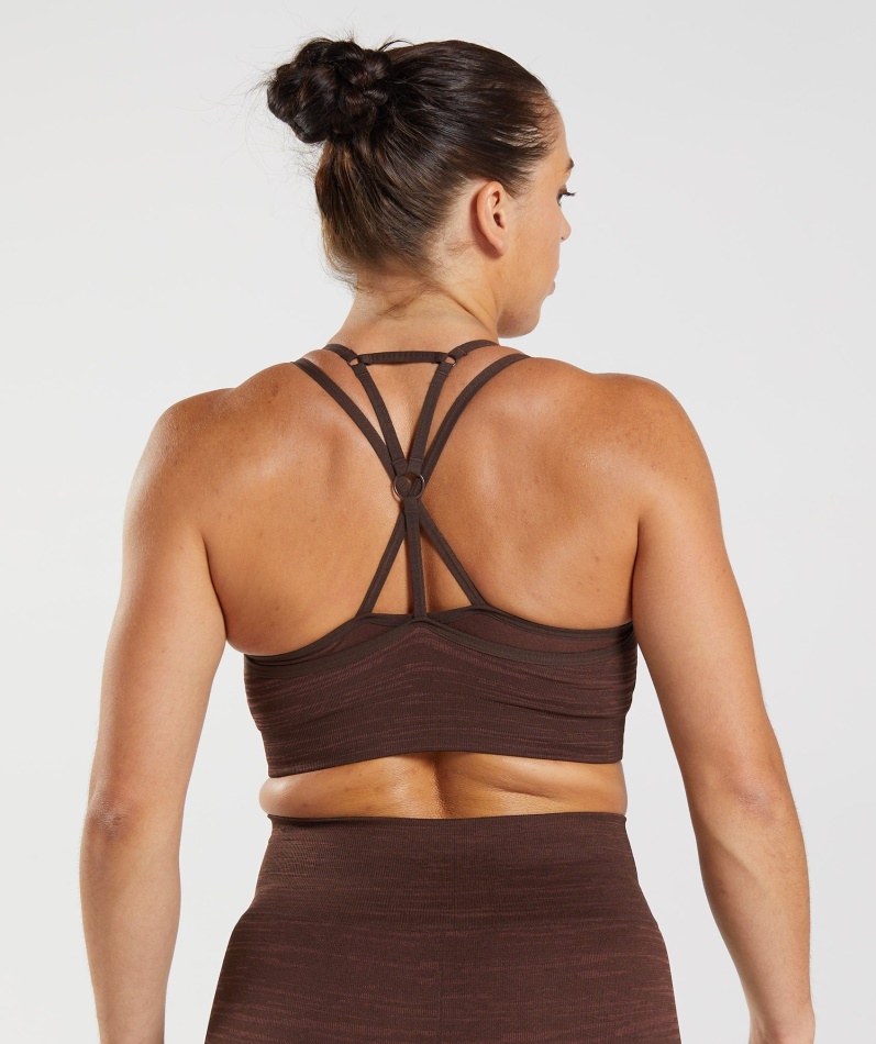 Gymshark Adapt Marl Sømløs Sports-bh Vlt-arkiv Brun-brun