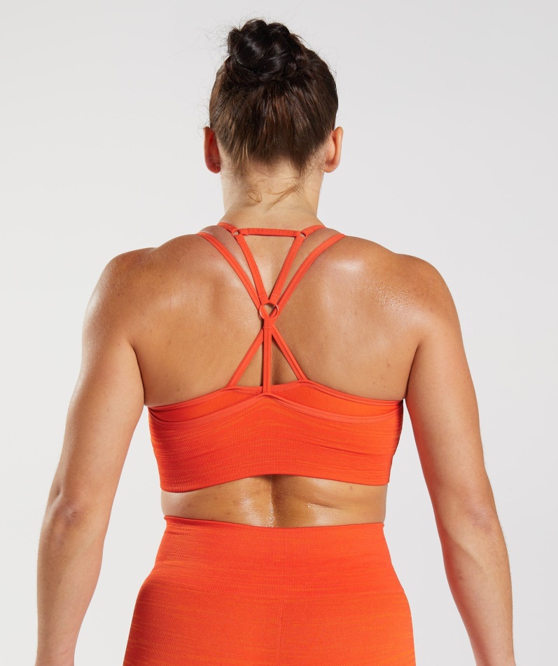 Gymshark Adapt Marl Sømløs Sports-bh Vlt-pepper Rød-snygg Oransje