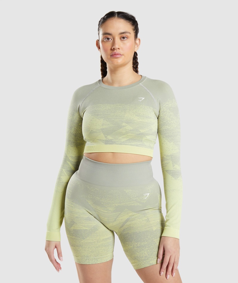 Gymshark Adapt Ombre Crop Top Trekant-taupe Grå