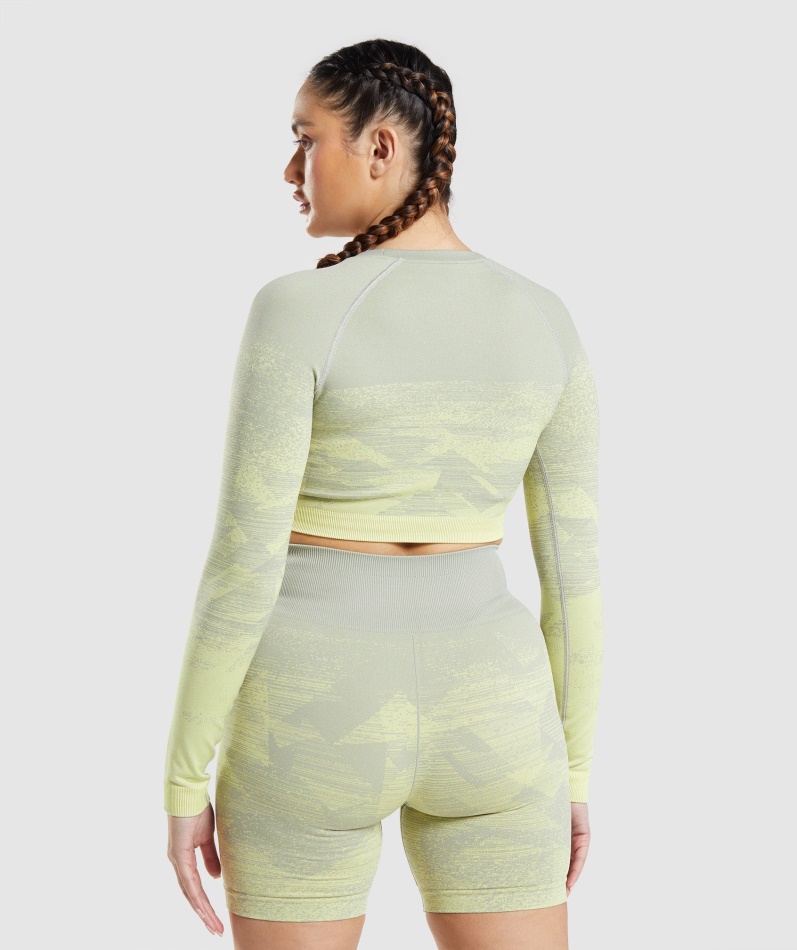 Gymshark Adapt Ombre Crop Top Trekant-taupe Grå