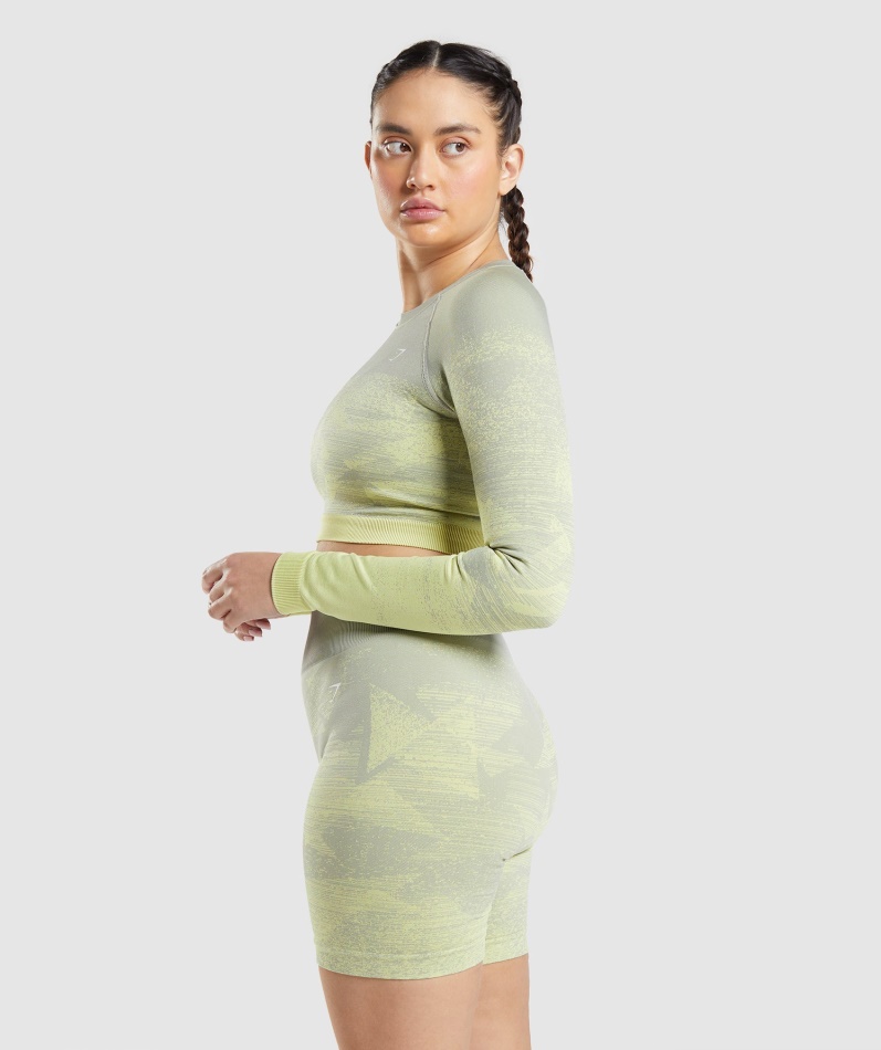 Gymshark Adapt Ombre Crop Top Trekant-taupe Grå