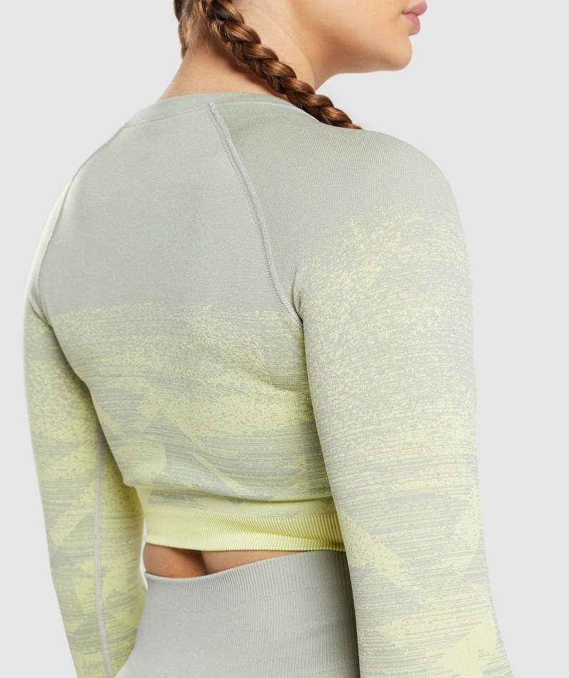 Gymshark Adapt Ombre Crop Top Trekant-taupe Grå