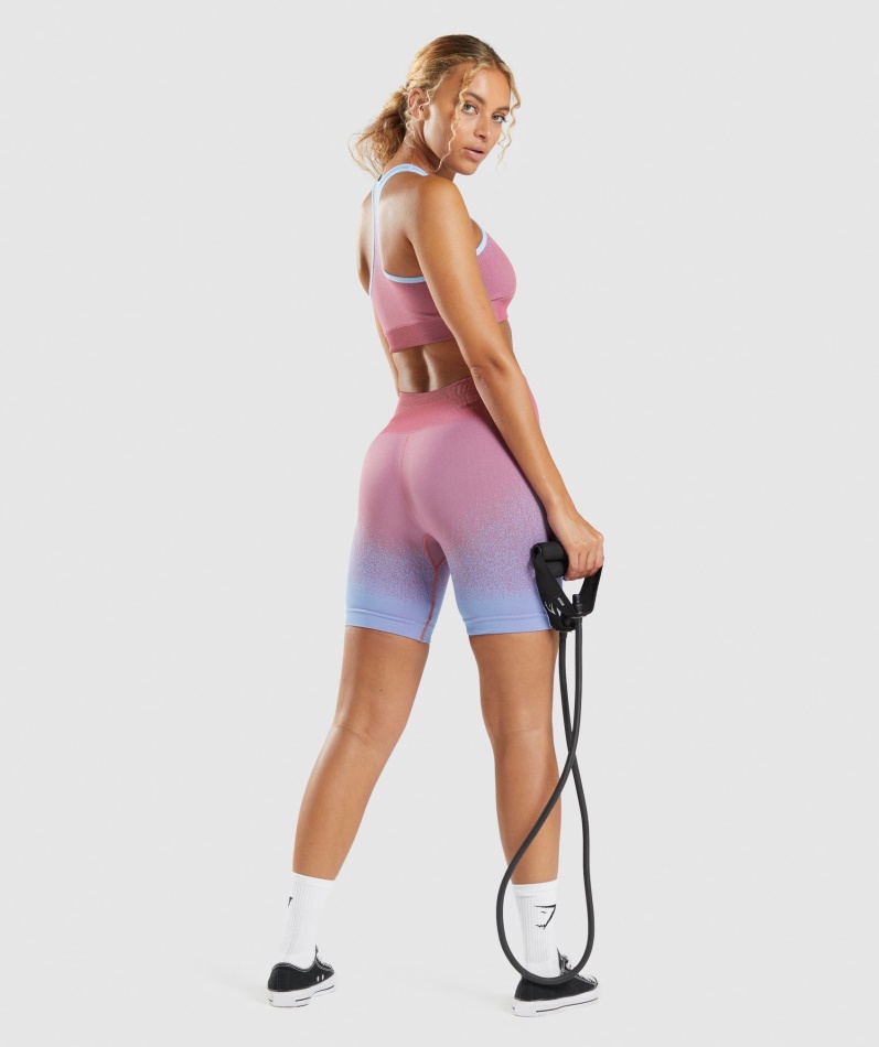 Gymshark Adapt Ombre Sømløs Sykkelshorts Rosa Rosa-lyseblå