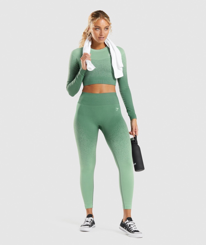 Gymshark Adapt Ombre Sømløse Leggings Grønn-lysegrønn