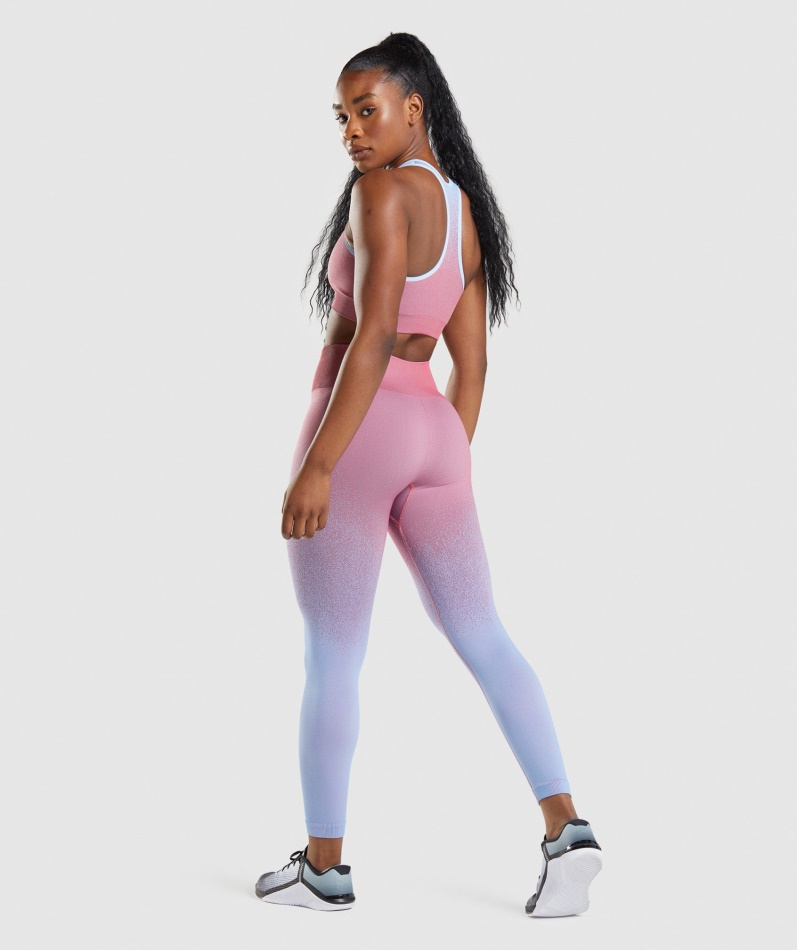 Gymshark Adapt Ombre Sømløse Leggings Rosa Rosa-lyseblå
