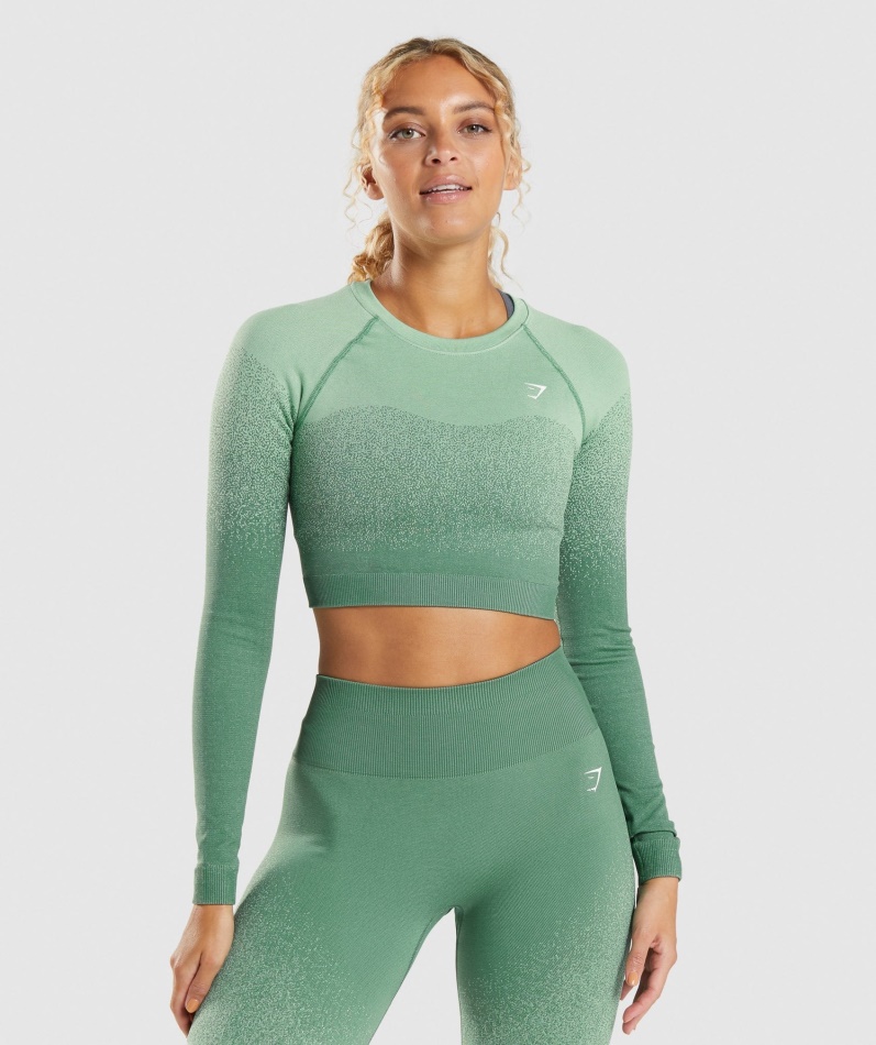 Gymshark Adapt Ombre Sømløs Langermet Crop Top Grønn-lysegrønn