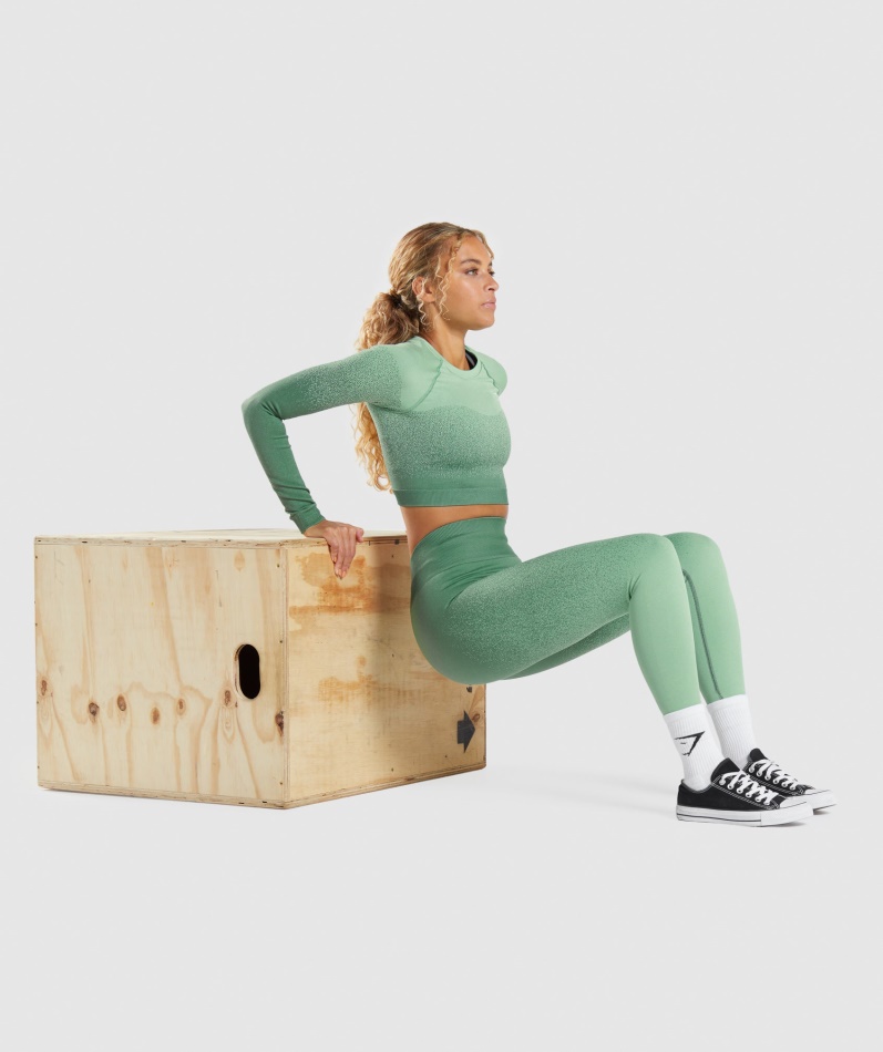 Gymshark Adapt Ombre Sømløs Langermet Crop Top Grønn-lysegrønn