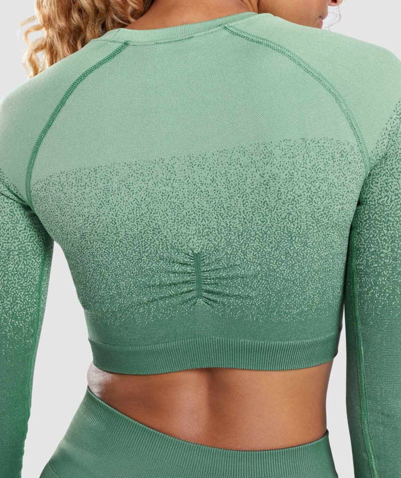Gymshark Adapt Ombre Sømløs Langermet Crop Top Grønn-lysegrønn