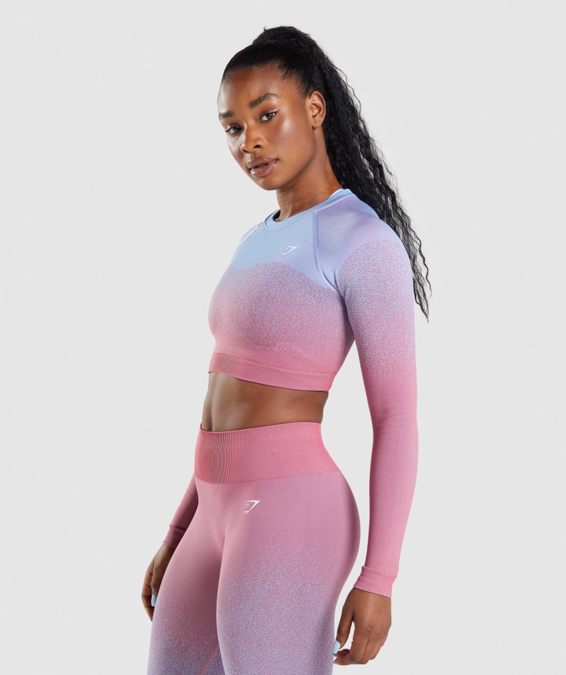 Gymshark Adapt Ombre Sømløs Langermet Crop Top Rosa Rosa-lyseblå