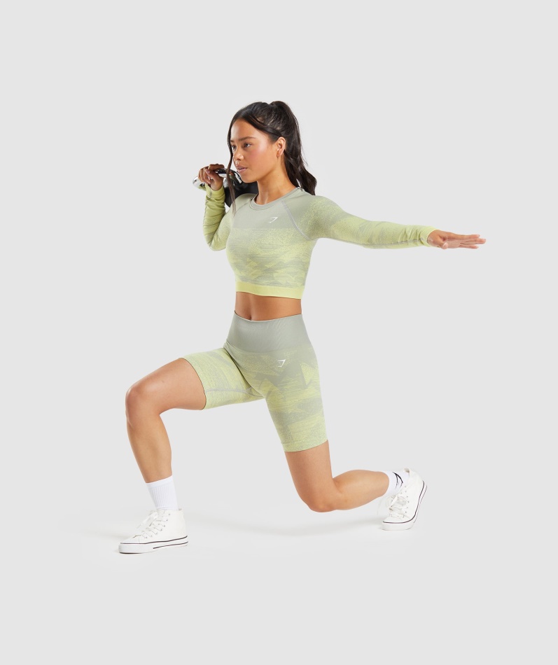 Gymshark Adapt Ombre Sømløse Shorts Trekant-taupe Grå