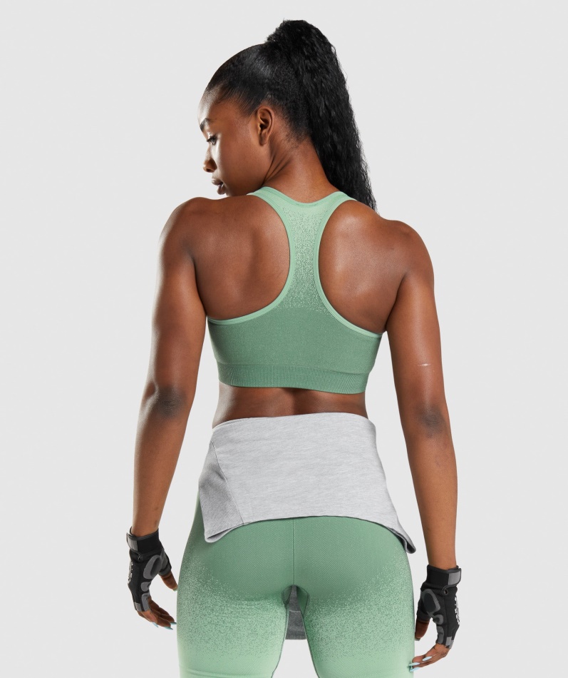 Gymshark Adapt Ombre Sømløs Sports-bh Grønn-lysegrønn