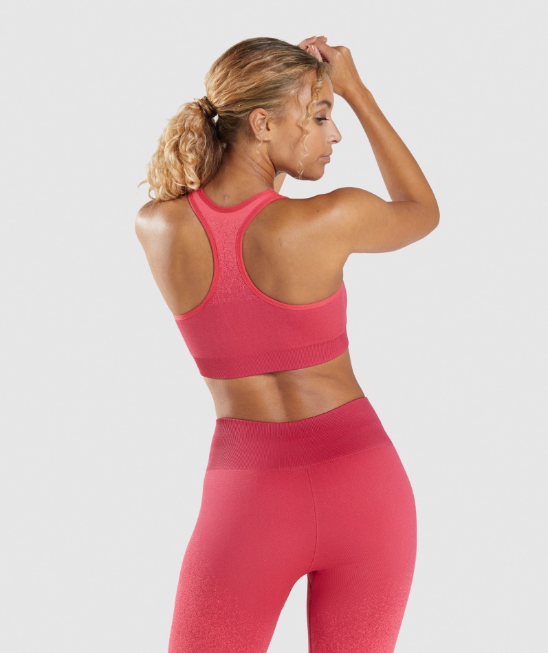 Gymshark Adapt Ombre Sømløs Sports-bh Rosa-rød