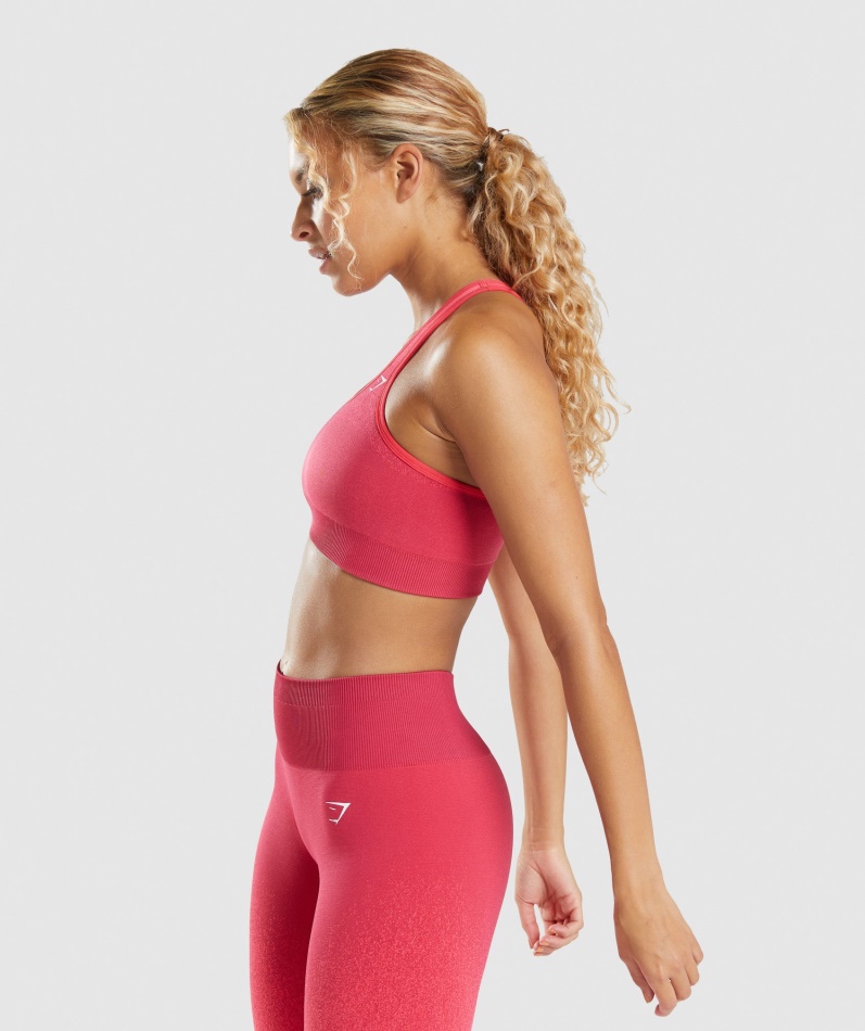 Gymshark Adapt Ombre Sømløs Sports-bh Rosa-rød