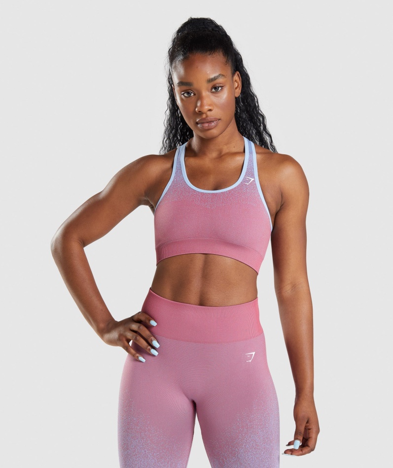 Gymshark Adapt Ombre Sømløs Sports-bh Rosa Rosa-lyseblå