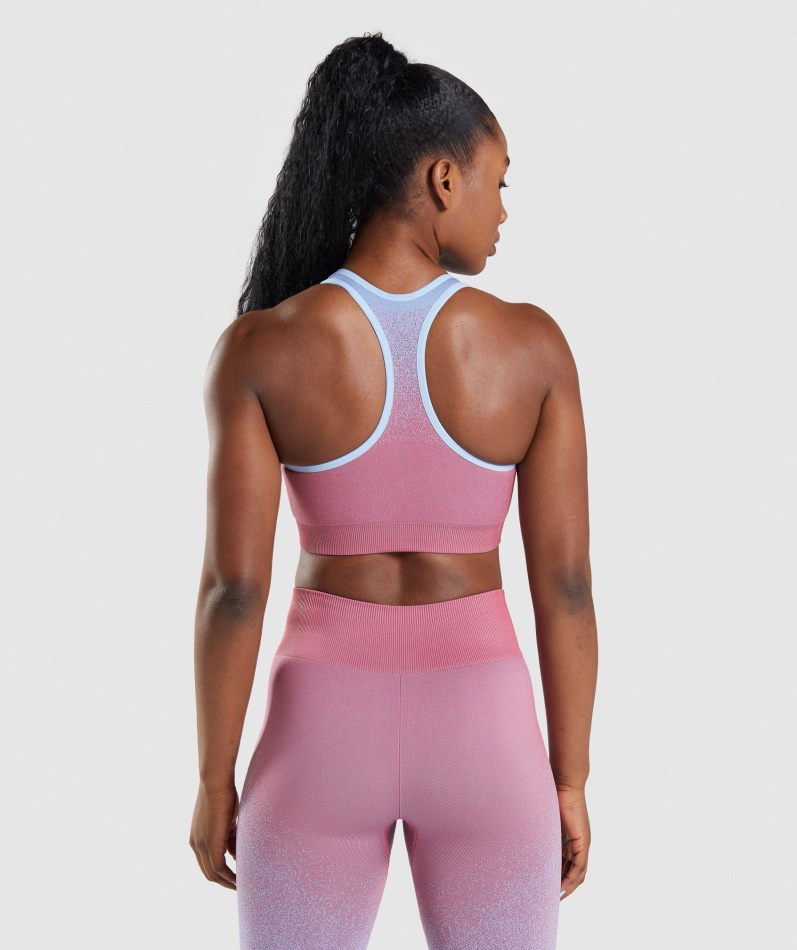 Gymshark Adapt Ombre Sømløs Sports-bh Rosa Rosa-lyseblå