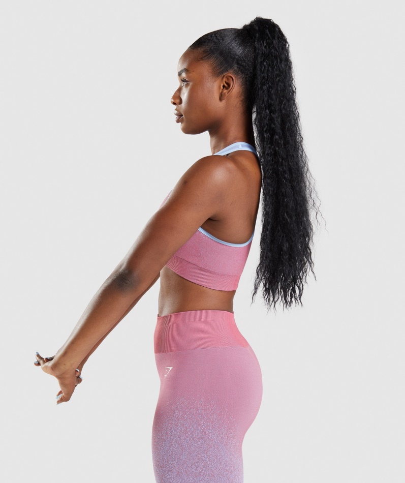 Gymshark Adapt Ombre Sømløs Sports-bh Rosa Rosa-lyseblå