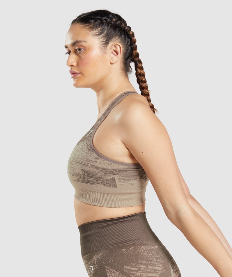 Gymshark Adapt Ombre Sømløs Sports-bh Trekant-penny Brun