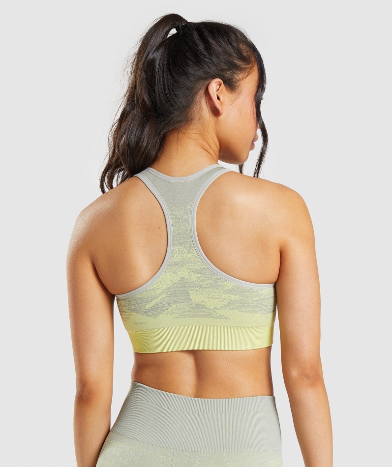 Gymshark Adapt Ombre Sømløs Sports-bh Trekant-taupe Grå