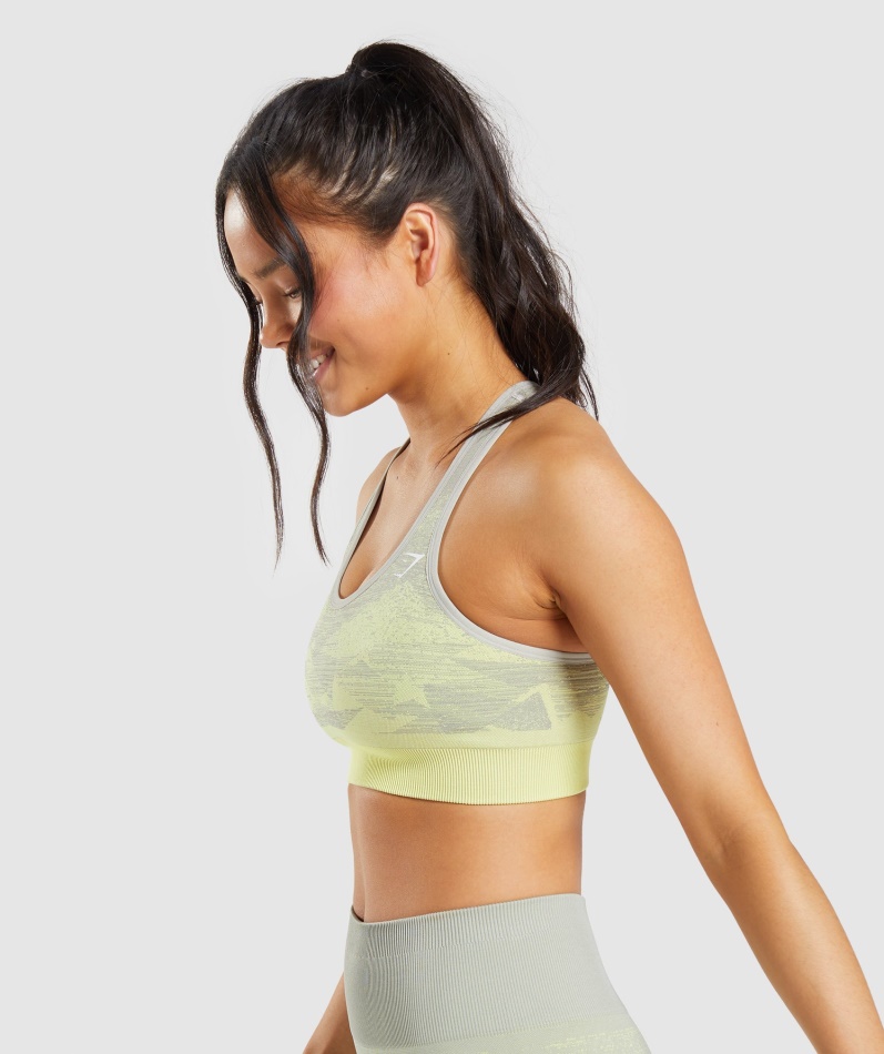 Gymshark Adapt Ombre Sømløs Sports-bh Trekant-taupe Grå