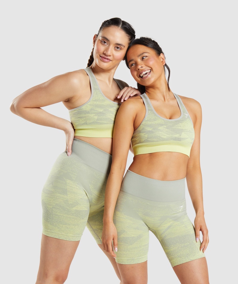 Gymshark Adapt Ombre Sømløs Sports-bh Trekant-taupe Grå