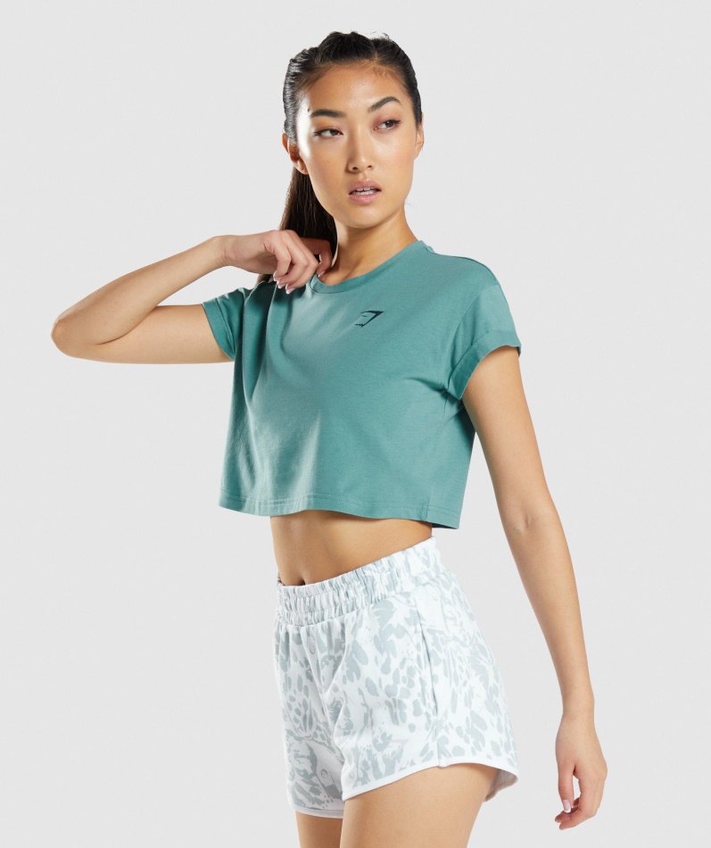 Blågrønn T-skjorte Med Grafisk Beskjæring Av Dyr Av Gymshark