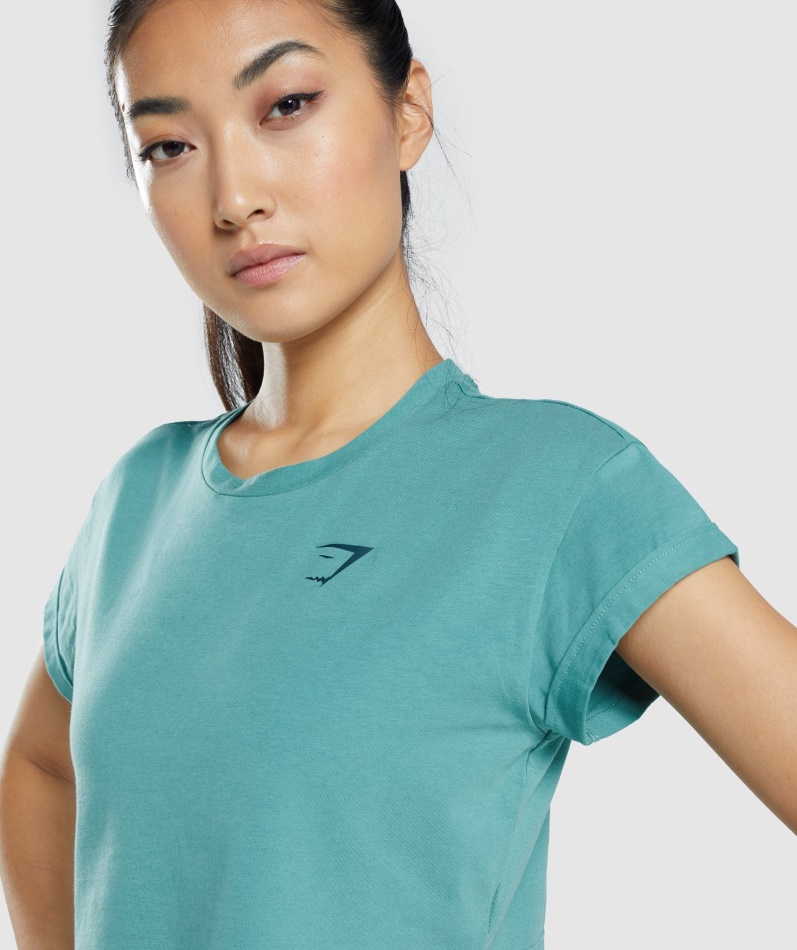 Blågrønn T-skjorte Med Grafisk Beskjæring Av Dyr Av Gymshark