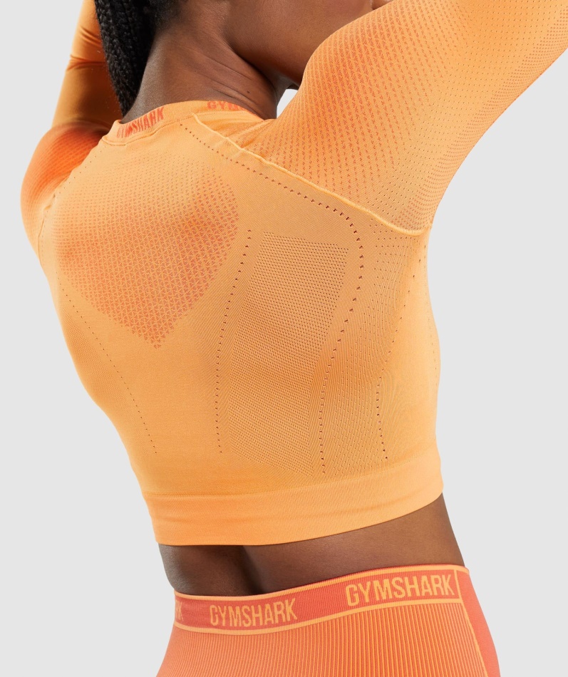 Gymshark Apex Sømløs Crop Top Aprikos Appelsin-papaya Appelsin