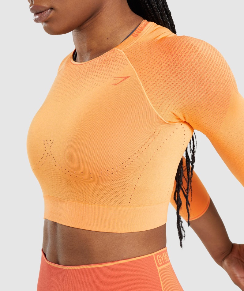 Gymshark Apex Sømløs Crop Top Aprikos Appelsin-papaya Appelsin