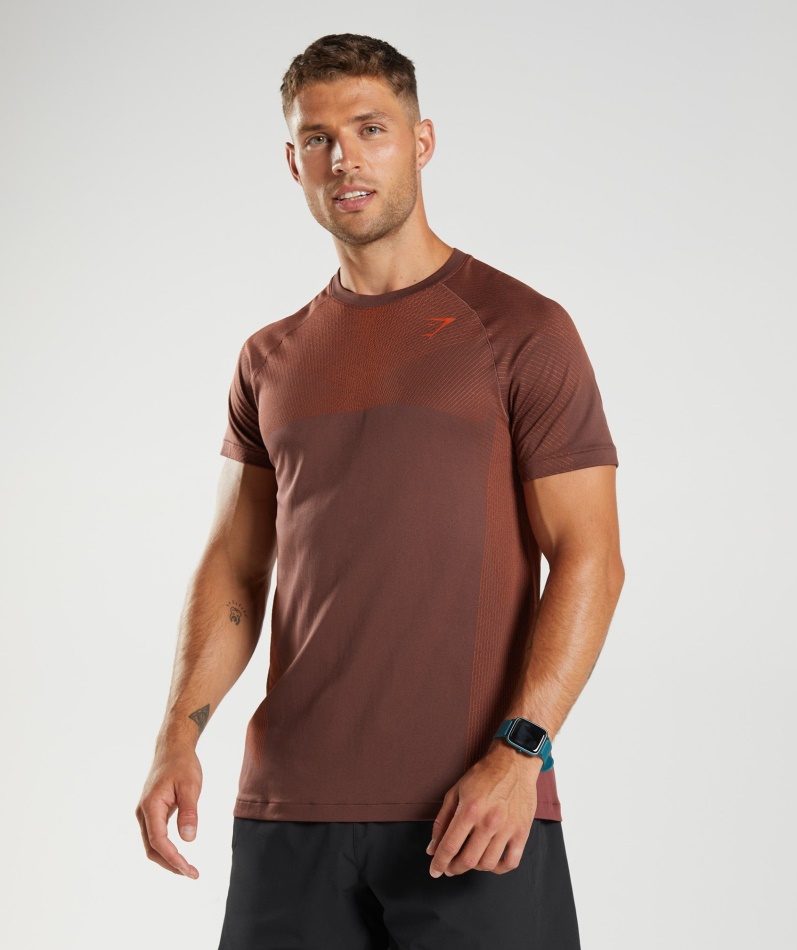 Gymshark Apex Sømløs T-skjorte Kirsebærbrun-pepper Rød