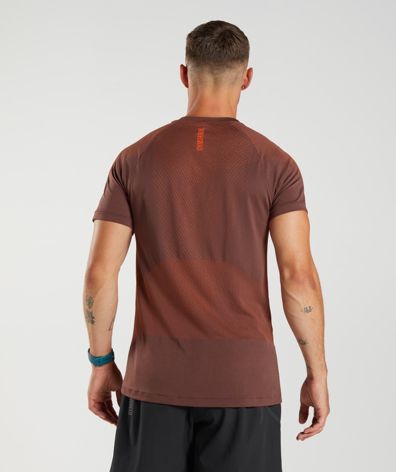 Gymshark Apex Sømløs T-skjorte Kirsebærbrun-pepper Rød