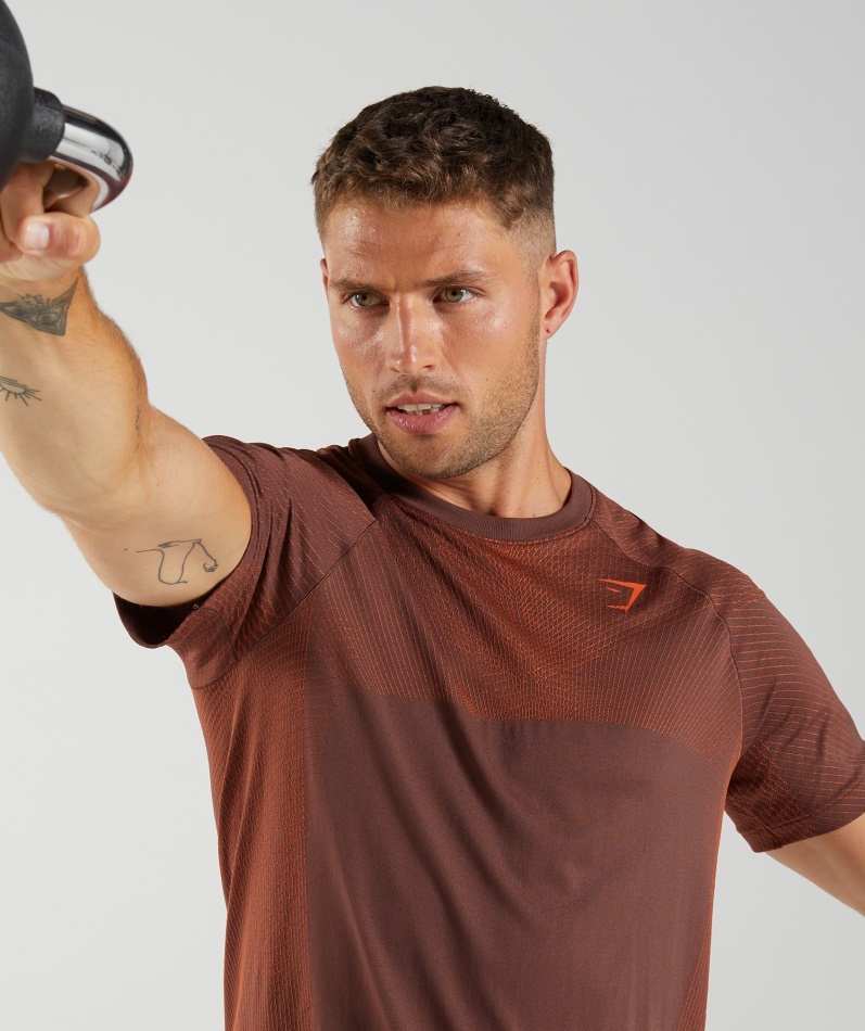 Gymshark Apex Sømløs T-skjorte Kirsebærbrun-pepper Rød