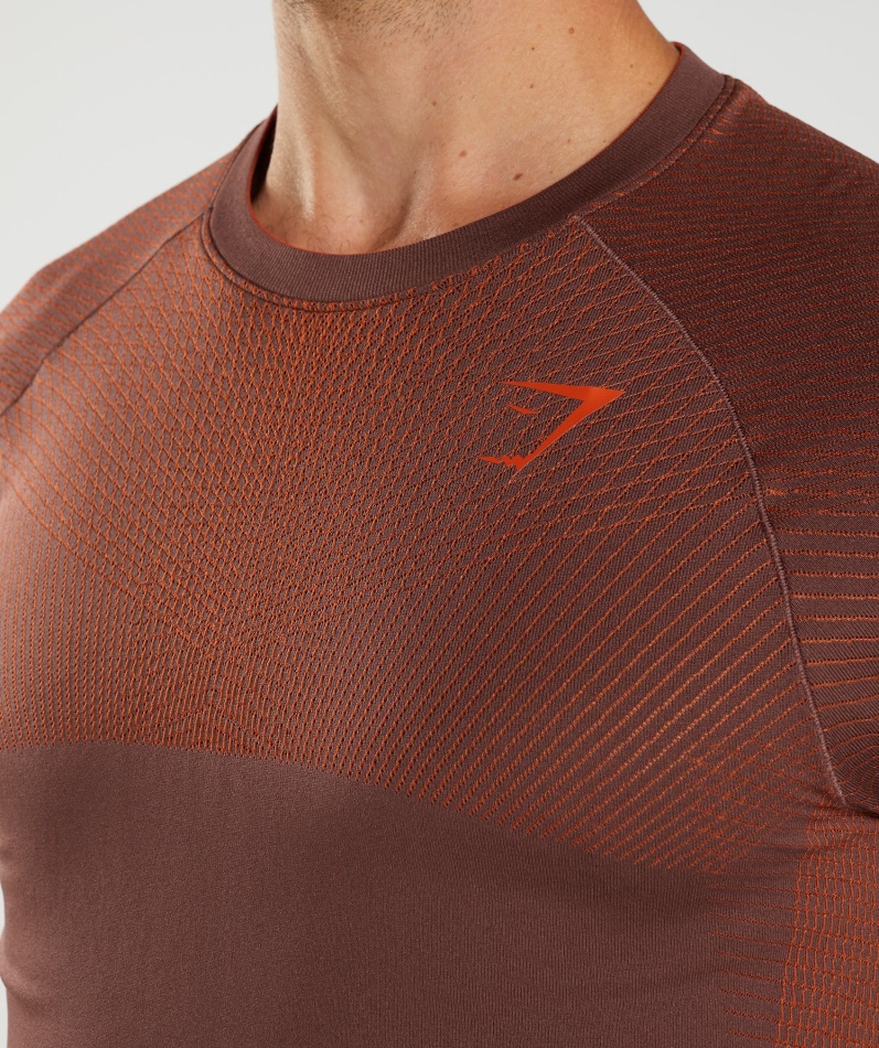 Gymshark Apex Sømløs T-skjorte Kirsebærbrun-pepper Rød