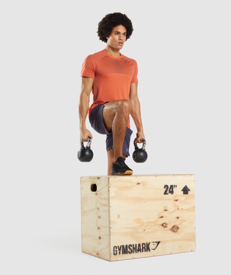 Gymshark Apex Sømløs T-skjorte Papaya Oransje-onyx Grå
