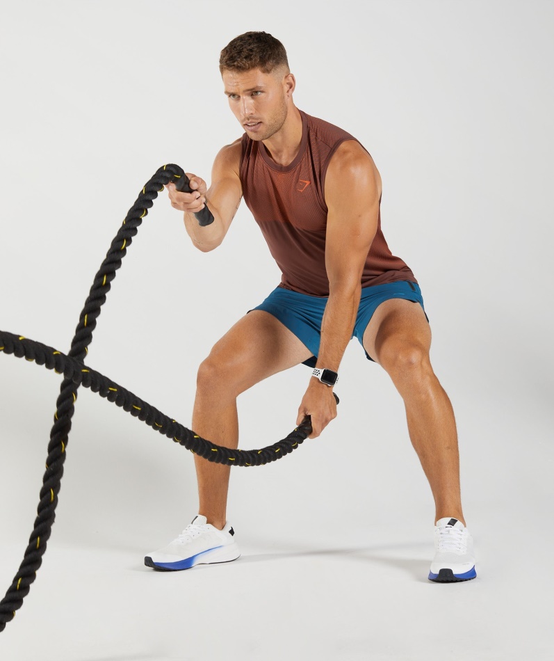 Gymshark Apex Sømløs Tank Kirsebær Brun-pepper Rød