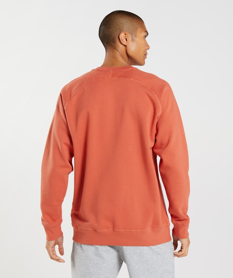 Gymshark Apollo Mannskap Storm Rød