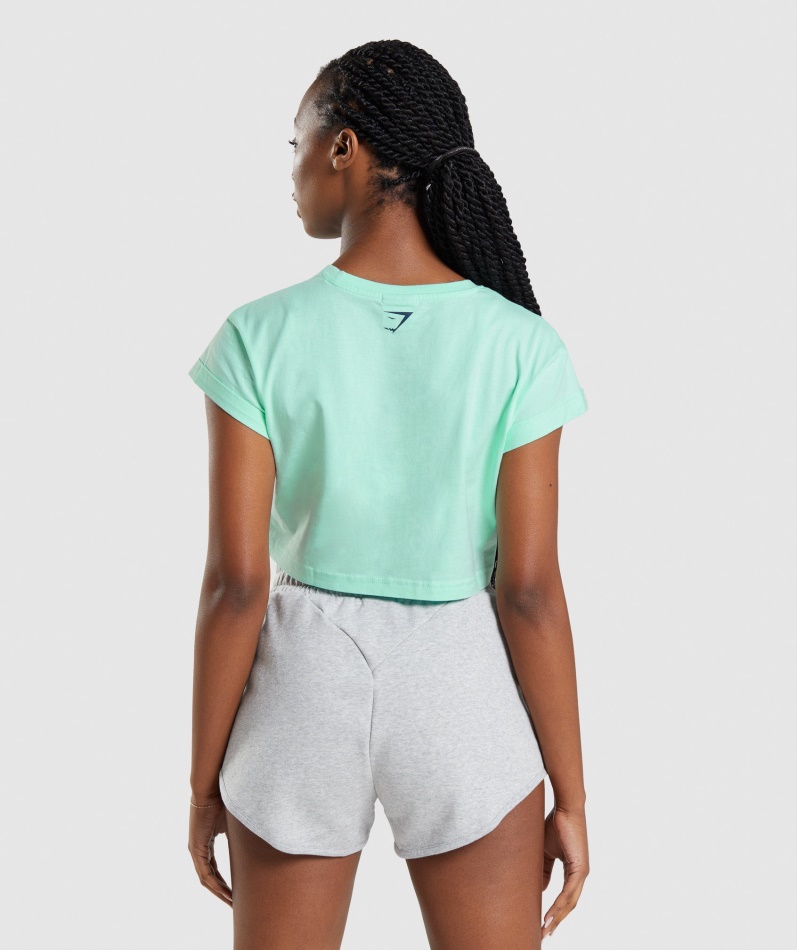 Gymshark Apollo Crop Top Turbo Blå