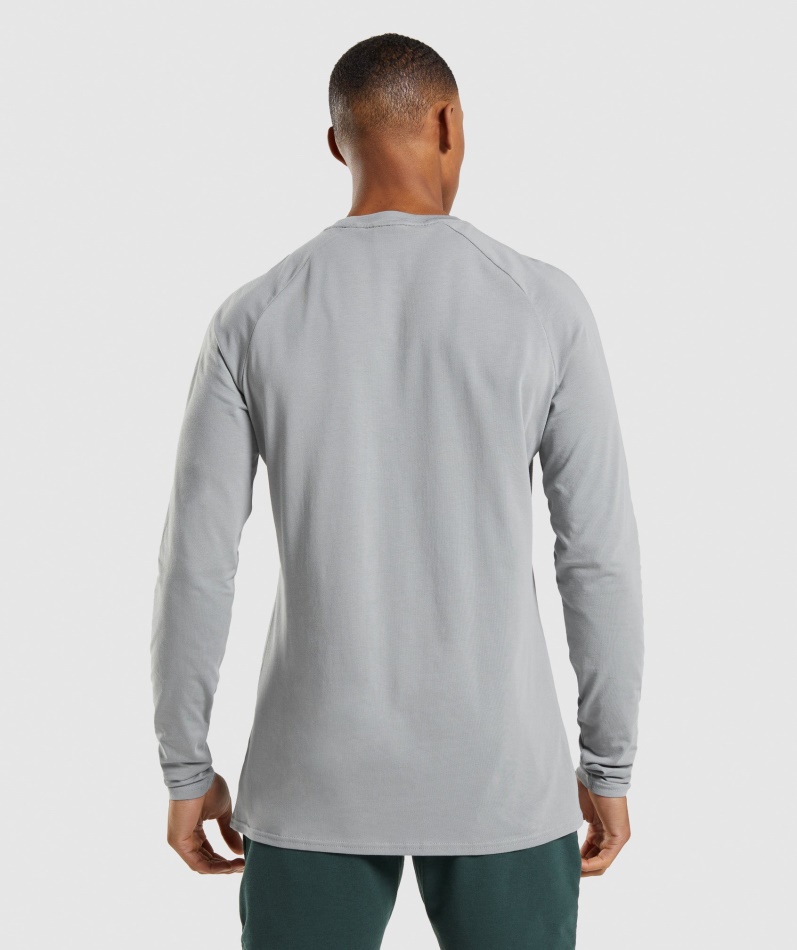 Gymshark Apollo Langermet T-skjorte Røykgrå