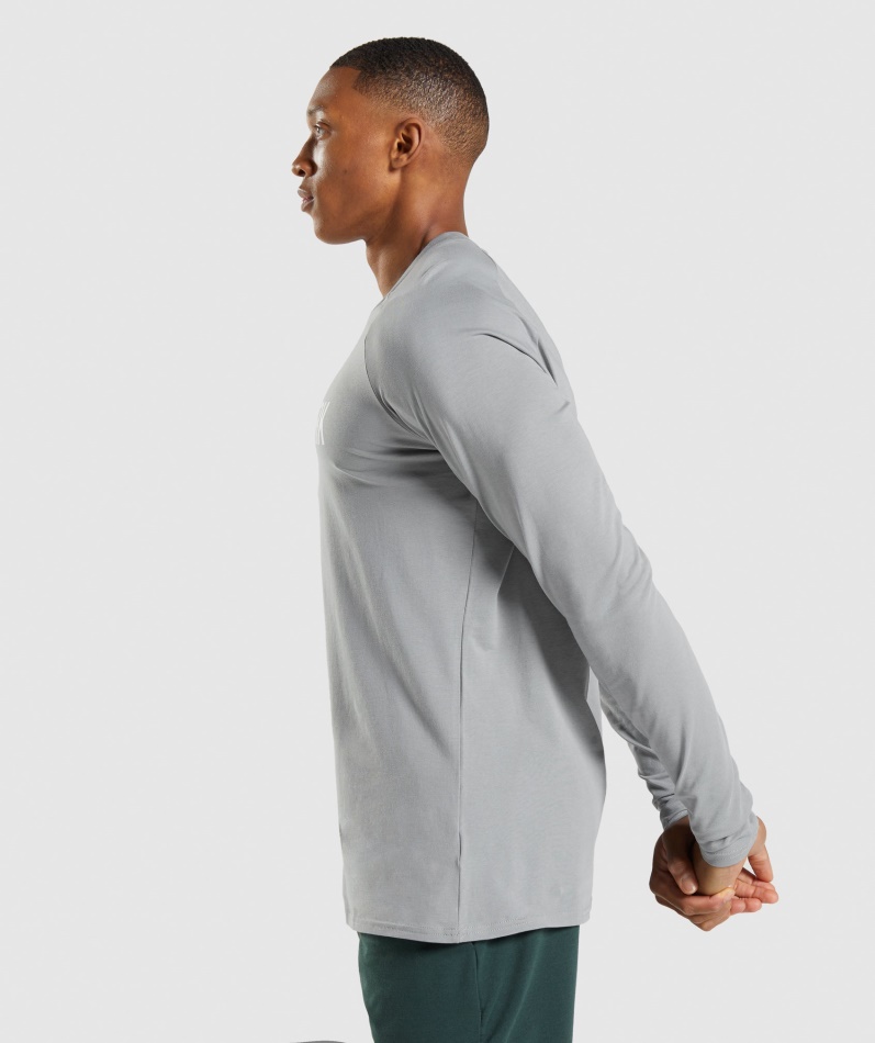 Gymshark Apollo Langermet T-skjorte Røykgrå