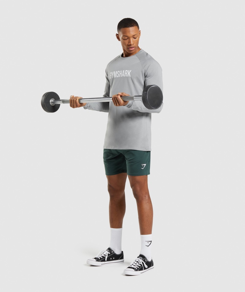 Gymshark Apollo Langermet T-skjorte Røykgrå
