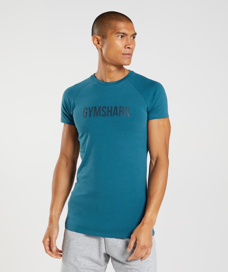 Gymshark Apollo T-skjorte Atlantic Blue
