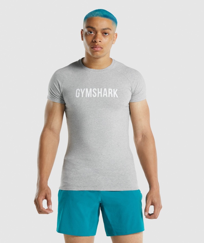 Gymshark Apollo T-skjorte Lys Grå Mergel