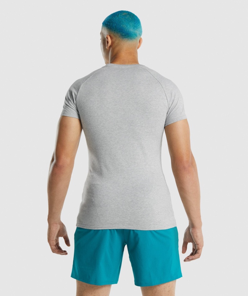 Gymshark Apollo T-skjorte Lys Grå Mergel
