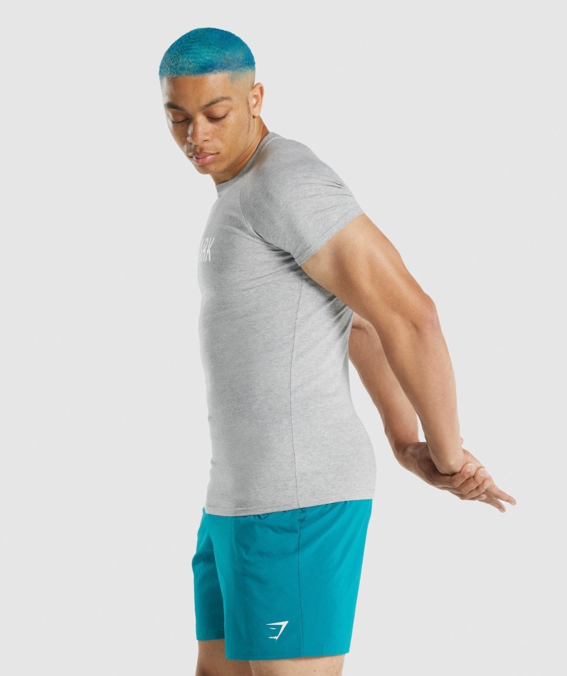 Gymshark Apollo T-skjorte Lys Grå Mergel